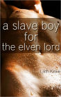 A Slave Boy For the Elven Lord