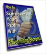 Sky Rocket Your Profits