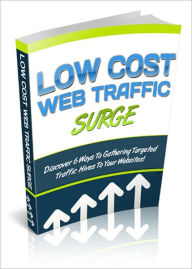 Title: Essential Techniques - Low Cost Web Traffic Surge - Discover 6 Ways To Gathering Targeted Traffic Hives To Your Websites!, Author: Dawn Publishing