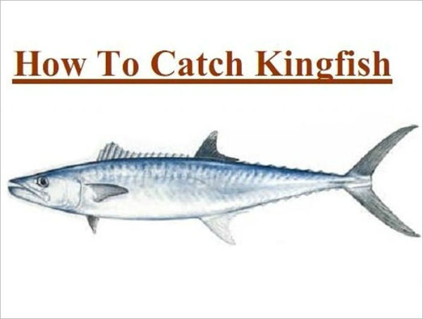 Fishing - Knowledge and Know How to Catch Kingfish