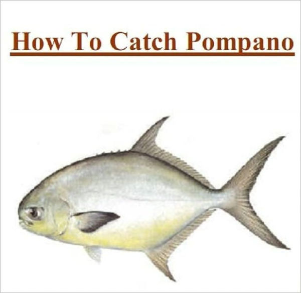 Fishing - Knowledge and Know How to Catch Pompano