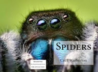 Title: Photography: Spiders(Annotated) ( spider, arachnid, fisherman, cheat, hunter, fowler, spider, amazing photography), Author: photography Warburton