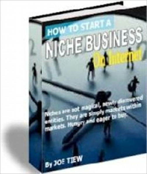 High Profit Margins - How to Start a Niche Business on the Internet