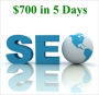 $700 In 5 Days - SEO (Search Engine Optimization) Consulting