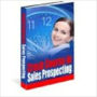 A Crash Course in Modern Sales Prospecting - Design and Implement a Low Cost Marketing System That Will Find New Sales Prospects