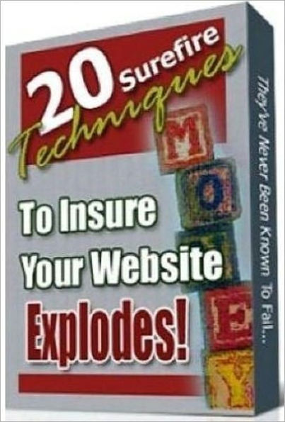 A Recipe for Success - 20 Surefire Techniques to Insure Your Website Explores
