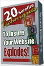 A Recipe for Success - 20 Surefire Techniques to Insure Your Website Explores