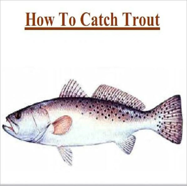 Knowledge and Know How to Catch Trout