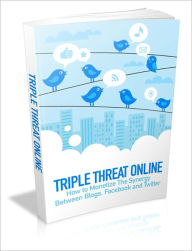 Title: Triple Threat Online - How To Monetize The Synergy Between Blogs, Facebook And Twitter, Author: Dawn Publishing