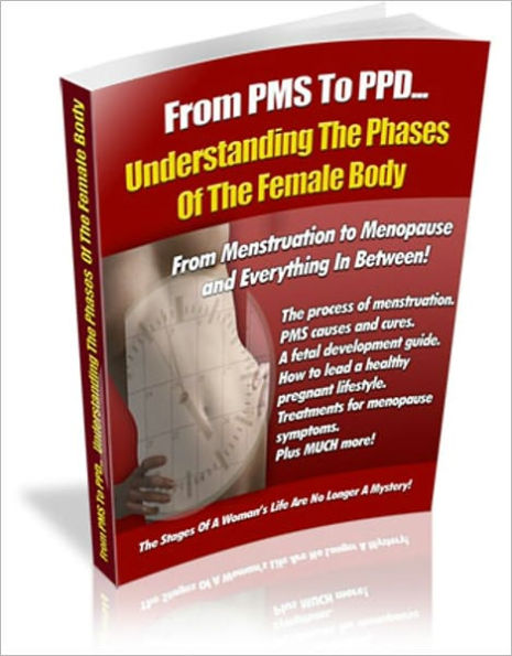 Understanding the Phrases of the Female Body - From Menstruation to Menopause and Everything in Between!