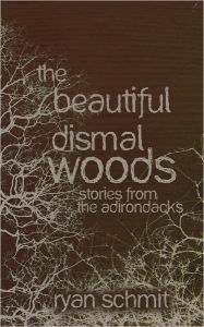 Title: The Beautiful Dismal Woods: Short Stories from the Adirondacks, Author: Ryan Schmit