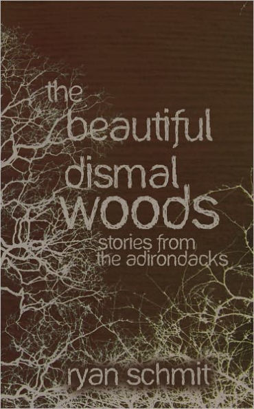 The Beautiful Dismal Woods: Short Stories from the Adirondacks