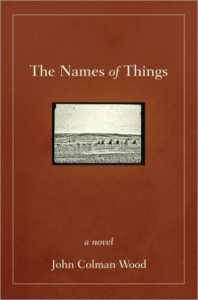 The Names of Things: A Novel