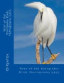 Photography: Best of the Everglades Birds Photography 2012