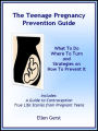 The Teenage Pregnancy Prevention Guide