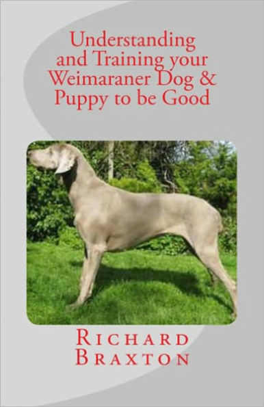 Understanding and Training your Weimaraner Dog & Puppy to be Good