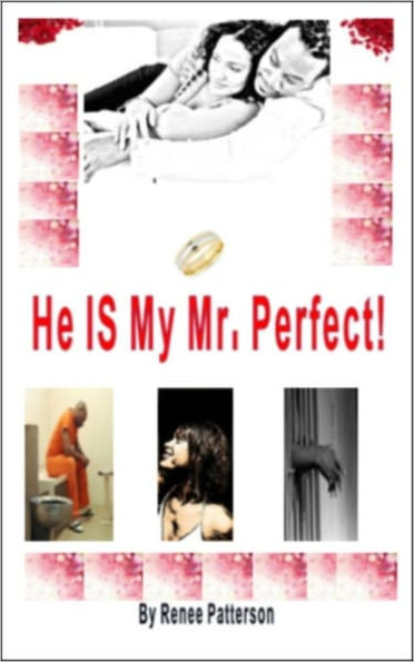 He IS My Mr. Perfect! - The Perfect Demon