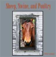 Title: Sheep, Swine, and Poultry (Illustrated), Author: Robert Jennings