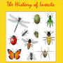 The History of Insects (Illustrated)