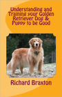 Understanding and Training your Golden Retriever Dog & Puppy to be Good
