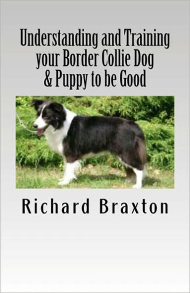 Understanding and Training your Border Collie Dog & Puppy to be Good