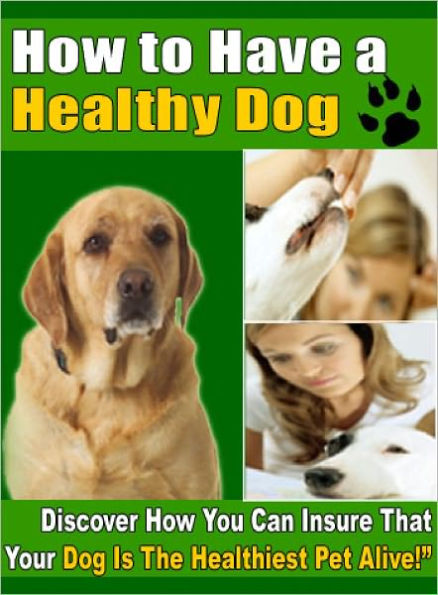 How to Have a Healthy Dog