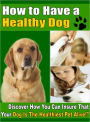 How to Have a Healthy Dog