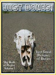 Title: Just Bone Photos! Big Book of Photographs & Pictures of Bones, Vol. 1, Author: Big Book of Photos