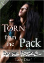 Torn from the Pack (Werewolf Gangbang)