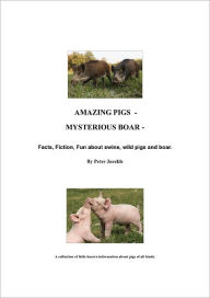 Title: Amazing Pigs - Mysterious Boar, Author: Peter Jaeckle