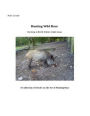 Hunting Wild Boar