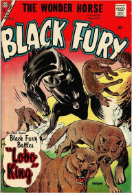 Title: Black Fury Number 11 Western Comic Book, Author: Dawn Publishing