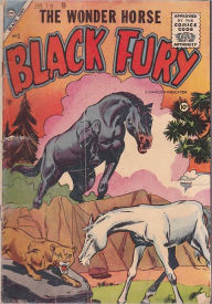 Title: Black Fury Number 3 Western Comic Book, Author: Dawn Publishing