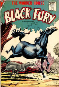 Title: Black Fury Number 6 Western Comic Book, Author: Dawn Publishing