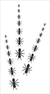 Title: I Ain't An Ant, Author: James Baumann