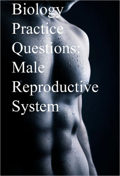 Biology Practice Questions: Male Reproductive System