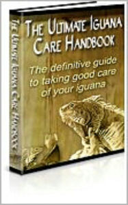 Title: The Ultimate Iguana Care Handbook, Author: 99 ¢ store