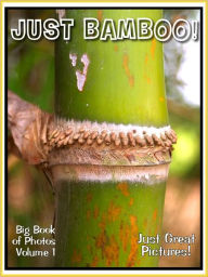 Title: Just Bamboo Photos! Big Book of Photographs & Pictures of Bamboo, Vol. 1, Author: Big Book of Photos