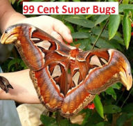 Title: 99 Cent Super Bugs, Author: Photography 99 Cents eBooks