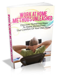 Title: Work At Home Methods Unleashed: Discover Numerous Ways To Make Money From The Comfort Of Your Own Home, Author: Sallie Stone