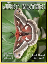 Title: Just Moth Photos! Big Book of Photographs & Pictures of Moths, Vol. 1, Author: Big Book of Photos