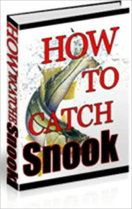 Title: How To Catch Snook Fish, Author: Mike Morley
