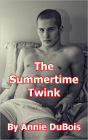 The Summertime Twink (Gay Erotica)