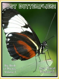 Title: Just Butterfly Photos! Big Book of Photographs & Pictures of Butterflies, Vol. 1, Author: Big Book of Photos