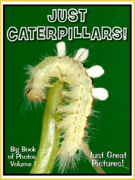 Title: Just Caterpillar Photos! Big Book of Photographs & Pictures of Caterpillars, Vol. 1, Author: Big Book of Photos