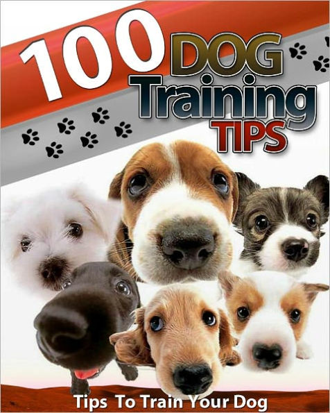 100 Dog Training Tips: Tips To Train Your Dog