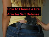 Title: How to Choose a Fire Arm for Self Defense ( Fire, great fire, blaze, inferno, branch, section,opposition, obstruction, defence, defense, defensive, obstinacy affiliate, group, arm, embranchment, Author: Krzysztof P Rykaczewski