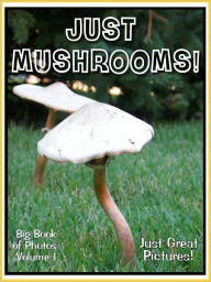 Title: Just Mushroom Photos! Big Book of Photographs & Pictures of Mushrooms, Vol. 1, Author: Big Book of Photos