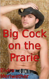 Title: Big Cock on the Prarie: Alone in a Cabin, Author: Elvira Meriwether