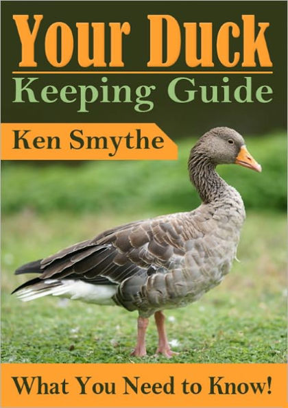 Your Duck Keeping Guide : What You Need to Know